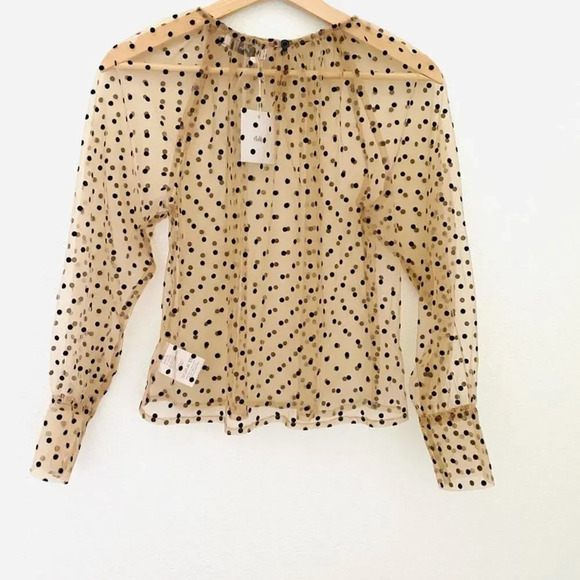NWT Adika Sheer Long Sleeve Polka Dots Top Small - Picture 2 of 6